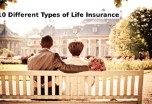 10 Different Types of Life Insurance: a comprehensive and complete guide