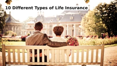10 Different Types of Life Insurance: a comprehensive and complete guide