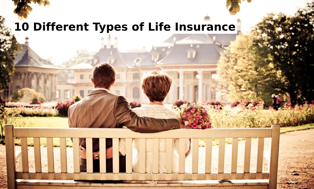 10 Different Types of Life Insurance: a comprehensive and complete guide