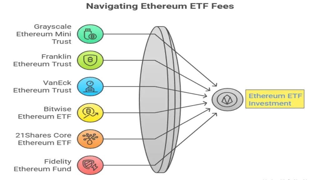 Chart showing Spot Ethereum The Current Landscape Spot Ethereum ETFs