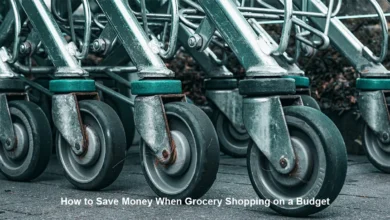 How to Save Money When Grocery Shopping on a Budget, 19 ways