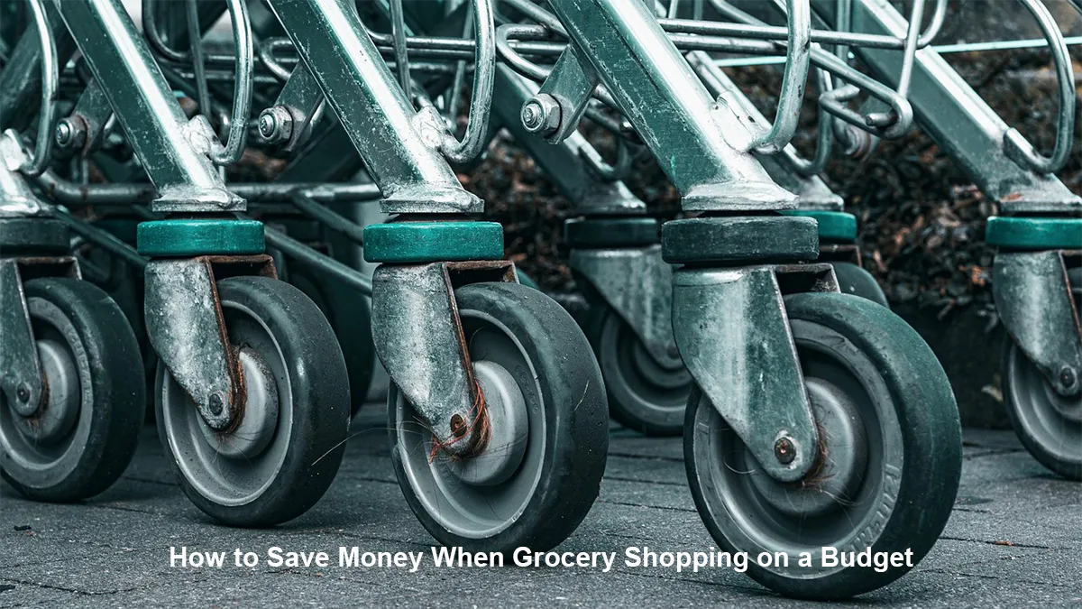 How to Save Money When Grocery Shopping on a Budget, 19 ways