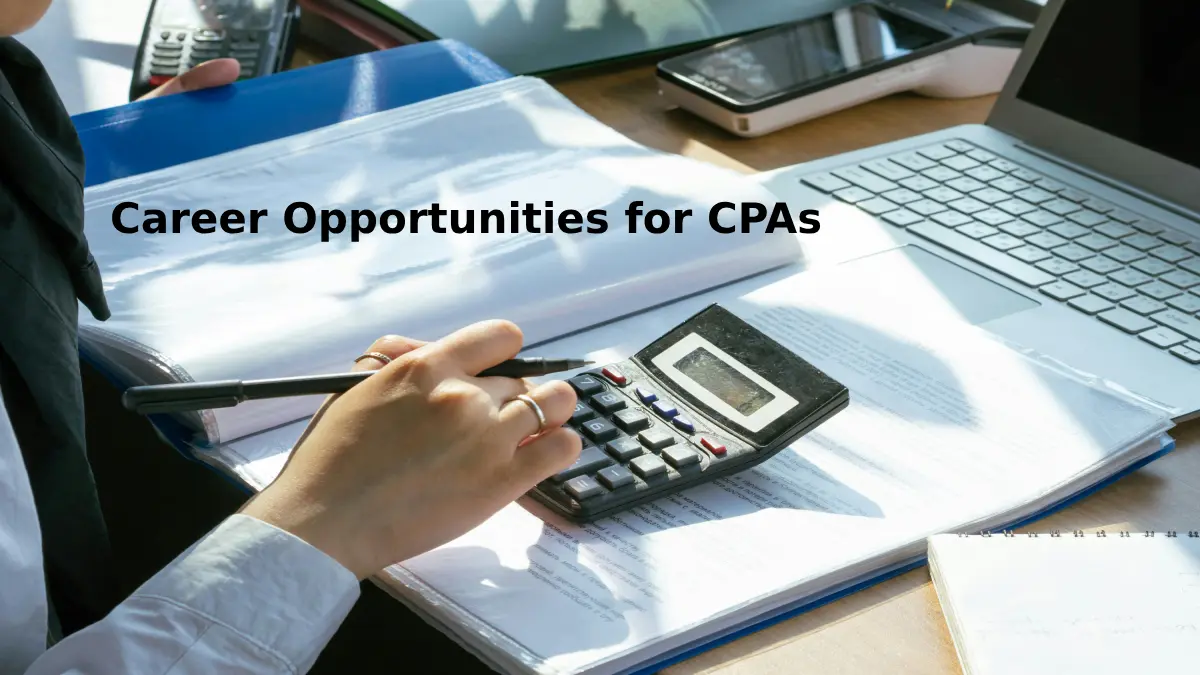Expanding Horizons: Innovative Career Paths for CPAs in the Digital Age