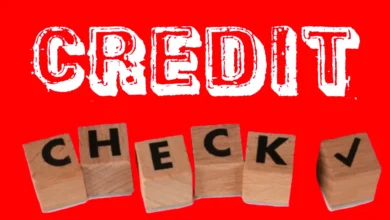 Red background with white words "Credit" and a 3D drawing of the word "Check" carved on it.
