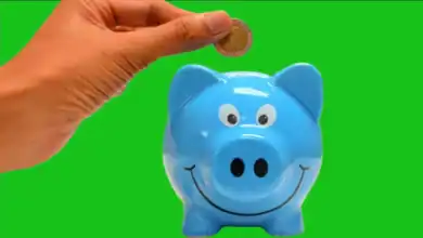 Hand putting coin in piggy bank